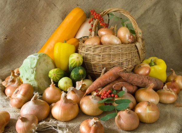 Betakarított zöldségek — Stock Fotó