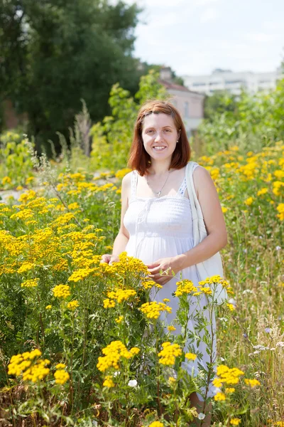 Woman in tansy plant — Stock Photo, Image
