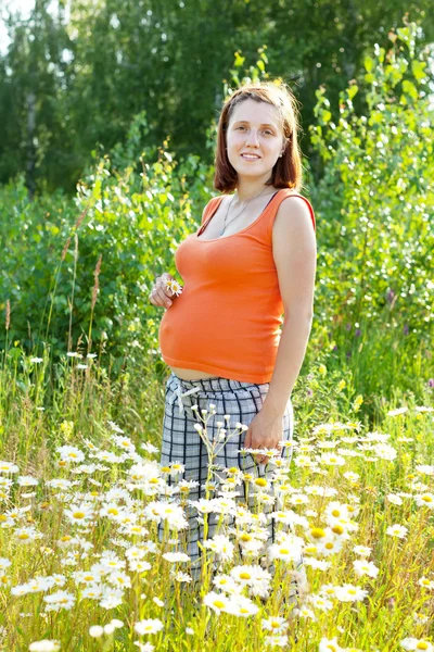 Mulher grávida na fábrica de margarida — Fotografia de Stock
