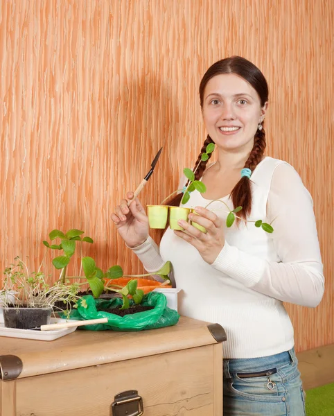 Gardener with various seedlings — Stock Photo, Image