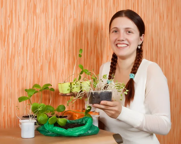 Female gardener with sprouts — Stock Photo, Image