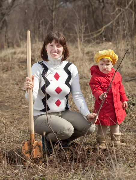Женщина с дочерью сажает дерево — стоковое фото