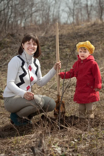 Kvinna med dotter sätter träd — Stockfoto