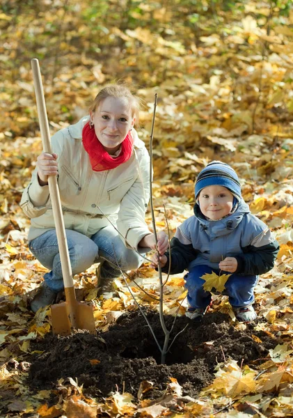 Frau mit Sohn stellt Baum im Herbst — Stockfoto