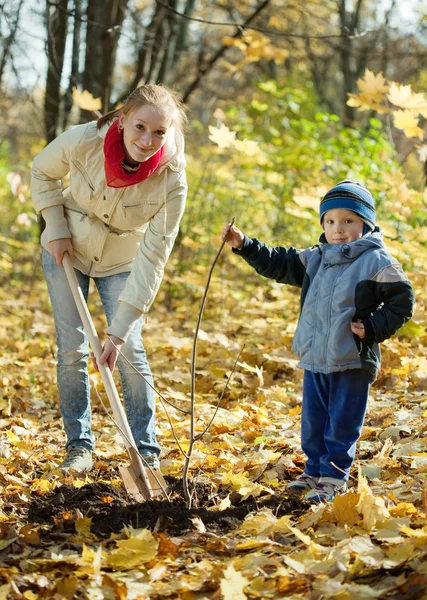 Frau mit Sohn stellt Baum im Herbst — Stockfoto