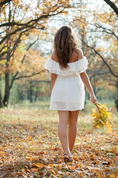 秋の公園の女の子 — ストック写真