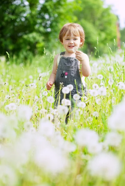 Two-year girl in dandelion plant — Stock Photo, Image