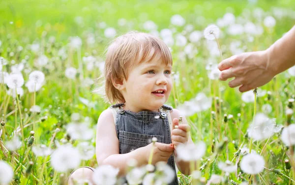 Happy baby in meadow — Stock Photo, Image