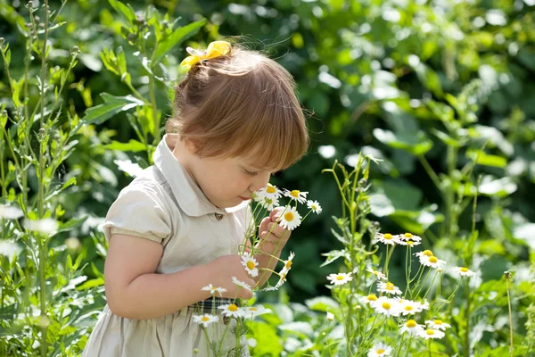 Twee-jarige meisje in daisy plant — Stockfoto