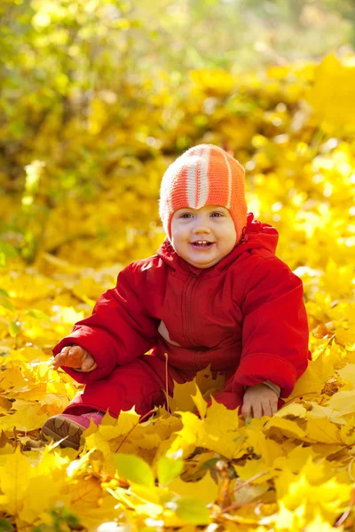 Toddler in autumn park — Stock Photo, Image