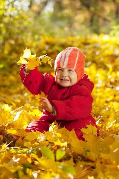 Niño sentado en hojas de arce — Foto de Stock