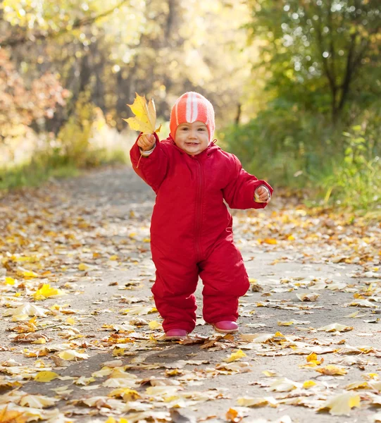 Happy toddler in autumn park — Stock Photo, Image