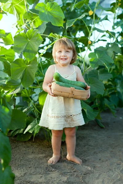 2 Jahre Kind beim Gurkenpflücken — Stockfoto