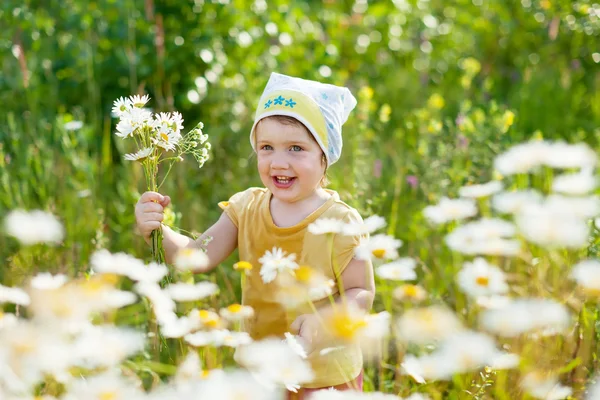 Menina no verão planta de camomila — Fotografia de Stock