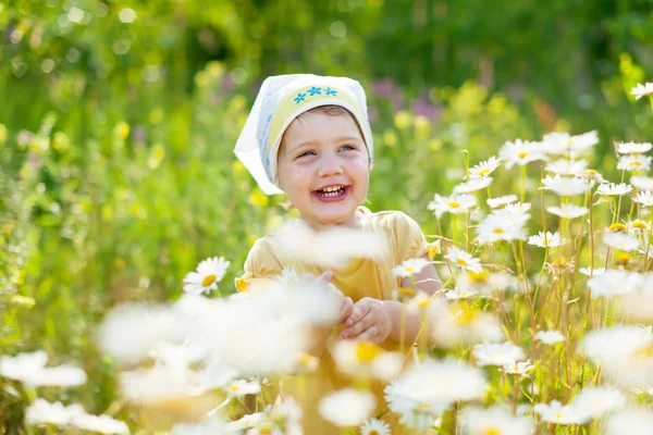 Two-year child at camomile meadow — Stock Photo, Image