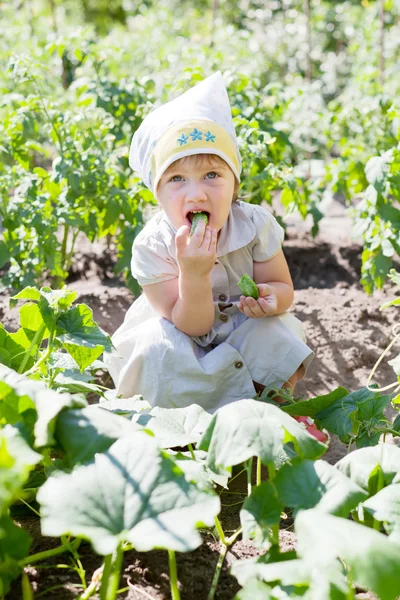 2 anni ragazza mangia cetrioli — Foto Stock