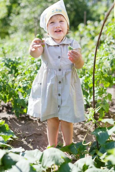 2 jaar kind plukken komkommers — Stockfoto