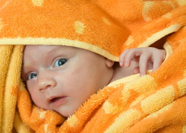 Bebê envolto em cobertor quente — Fotografia de Stock