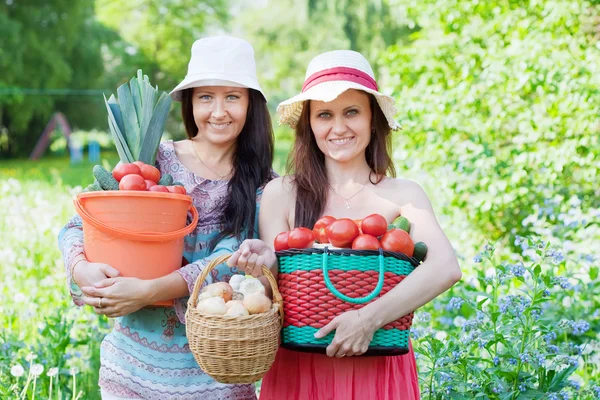 Donne con verdure raccolte — Foto Stock