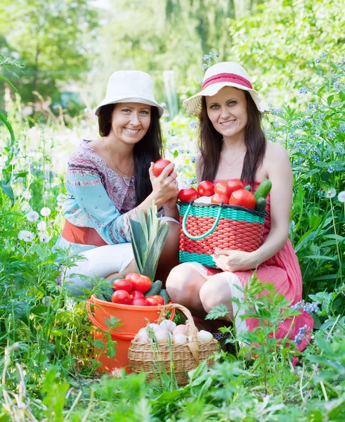 Жінки з зібраними овочами в саду — стокове фото