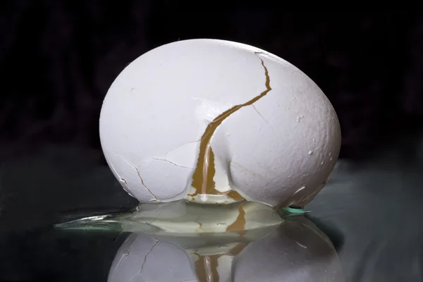 stock image White egg