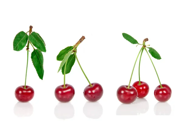 stock image Set of ripe cherry with leafs