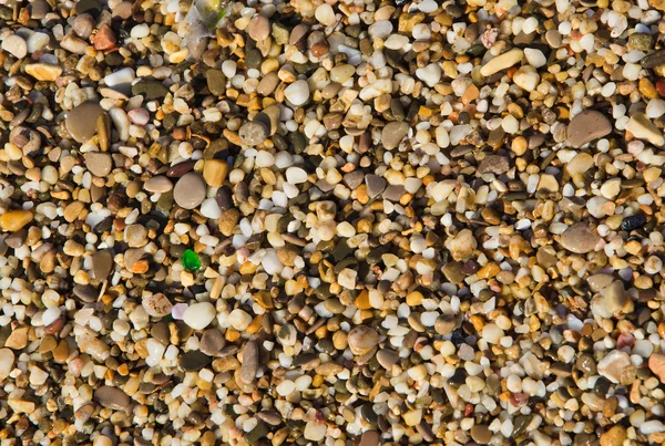 Kavicsokat a tengerparton — Stock Fotó