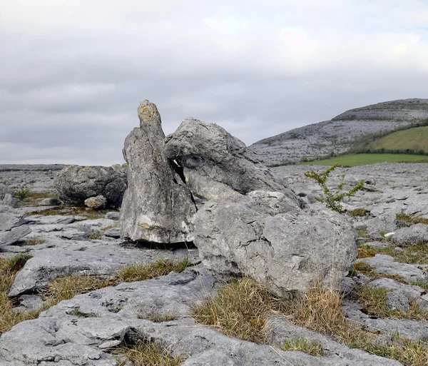 Les rochers Burren — Photo