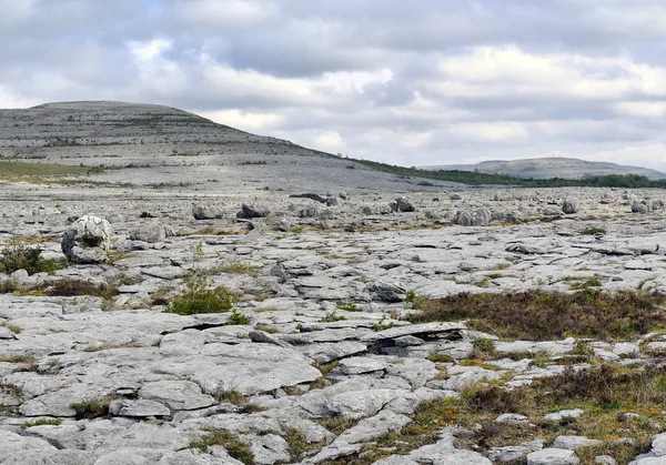 Płaskowyż Burren — Zdjęcie stockowe