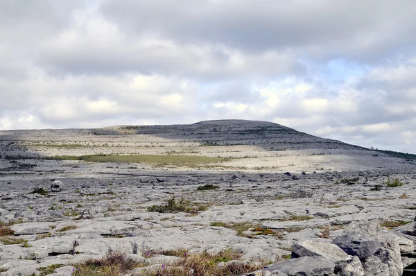 El paisaje de Burren — Foto de Stock