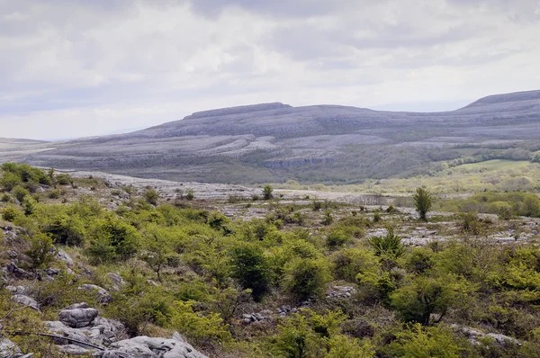 stock image The Burren Landscape