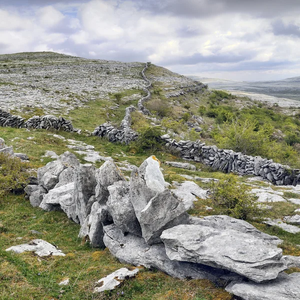 Płaskowyż Burren — Zdjęcie stockowe