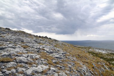 burren yakınındaki derreen, Batı İrlanda Cumhuriyeti