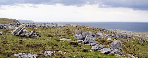 Burren yakınındaki derreen, Batı İrlanda Cumhuriyeti — Stok fotoğraf