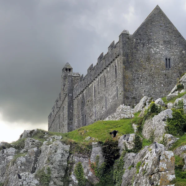 Rock av cashel - Irland Stockbild