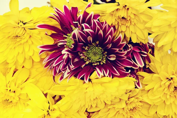 빈티지 꽃 — 스톡 사진