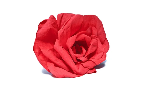 Красный бутон розы — стоковое фото