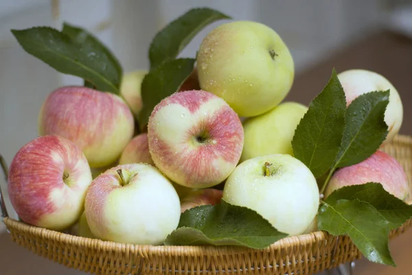 Летние яблоки крупный план — стоковое фото