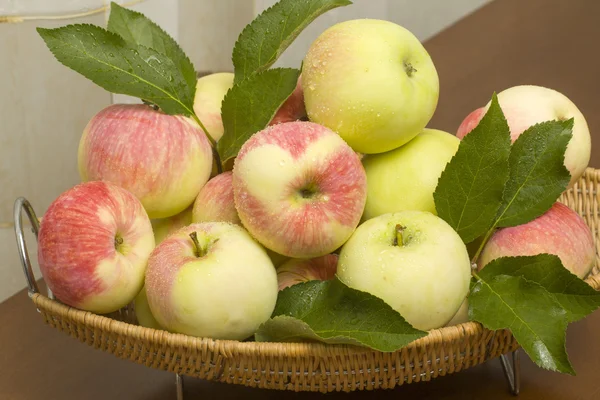 Summer apples closeup — Stock Photo, Image