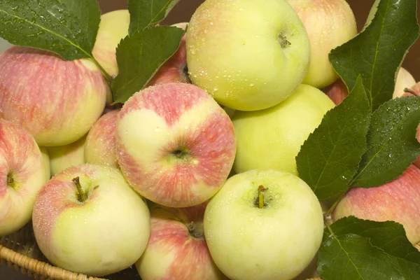 Summer apples closeup — Stock Photo, Image