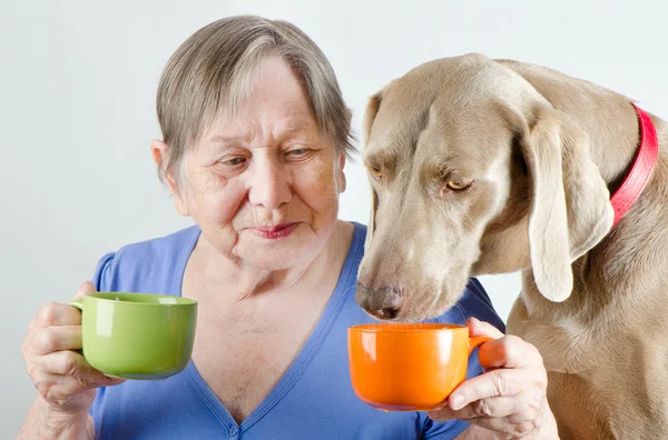 Старша жінка і собака — стокове фото