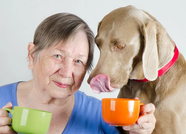 Senior vrouw en hond. — Stockfoto