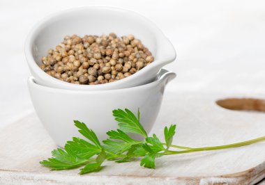 Coriander seeds and leaves clipart