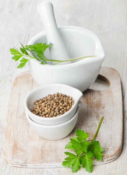 Coriander seeds and leaves — Stock Photo, Image
