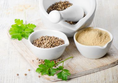 Coriander seeds and leaves clipart