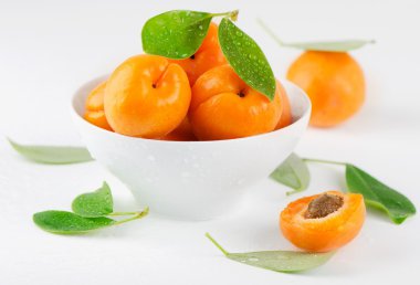 Fresh apricots clipart