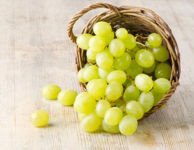 Green grapes clipart