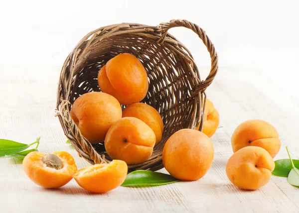 Fresh apricots in the basket — Stock Photo, Image