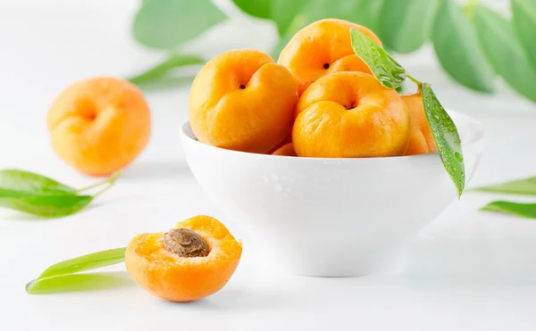 Fresh apricots — Stock Photo, Image