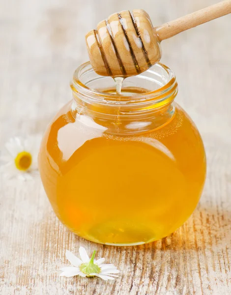Honning i glas krukker - Stock-foto